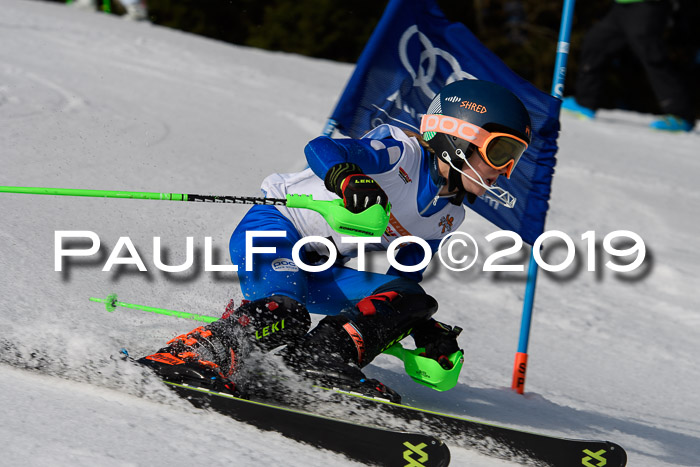 DSV Deutscher Schülercup U12 Finale 2019, Slalom Cross 03.03.2019