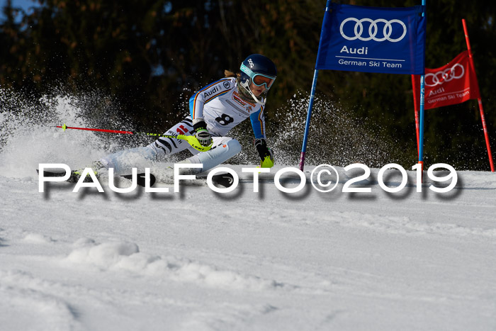 DSV Deutscher Schülercup U12 Finale 2019, Slalom Cross 03.03.2019