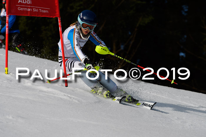 DSV Deutscher Schülercup U12 Finale 2019, Slalom Cross 03.03.2019
