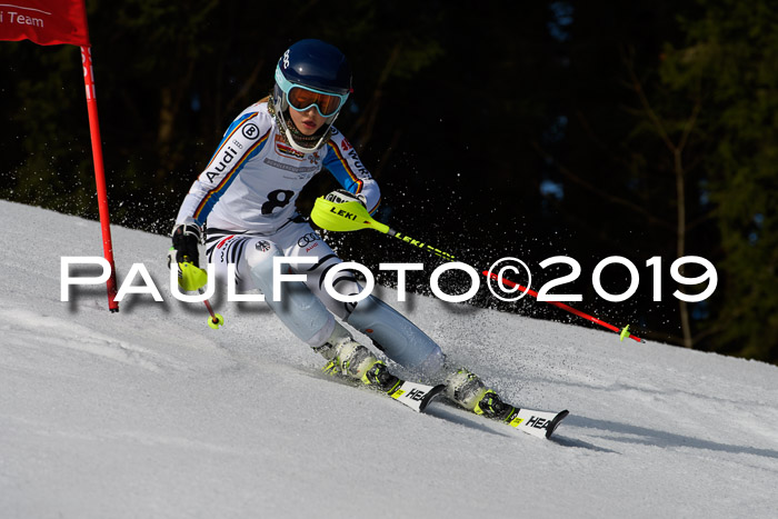 DSV Deutscher Schülercup U12 Finale 2019, Slalom Cross 03.03.2019