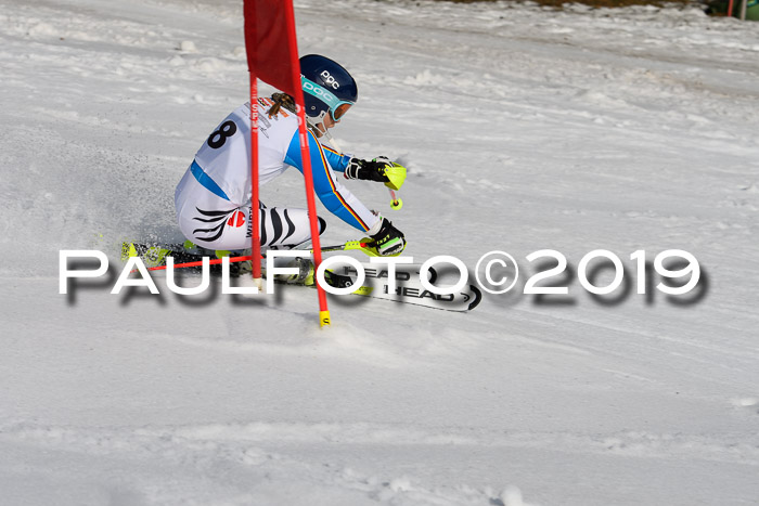 DSV Deutscher Schülercup U12 Finale 2019, Slalom Cross 03.03.2019