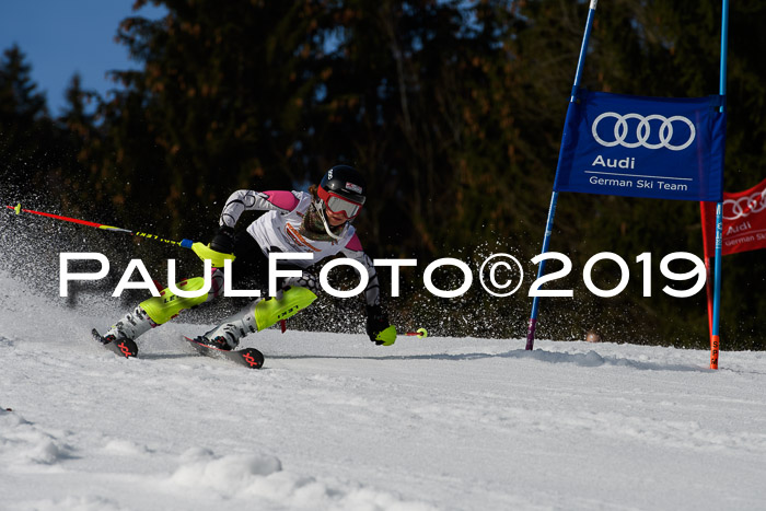 DSV Deutscher Schülercup U12 Finale 2019, Slalom Cross 03.03.2019