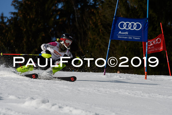 DSV Deutscher Schülercup U12 Finale 2019, Slalom Cross 03.03.2019