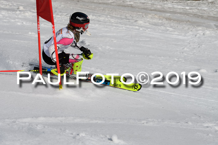 DSV Deutscher Schülercup U12 Finale 2019, Slalom Cross 03.03.2019