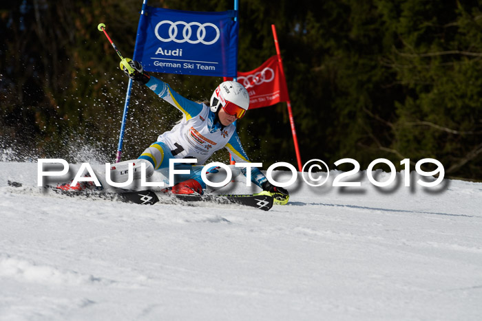 DSV Deutscher Schülercup U12 Finale 2019, Slalom Cross 03.03.2019