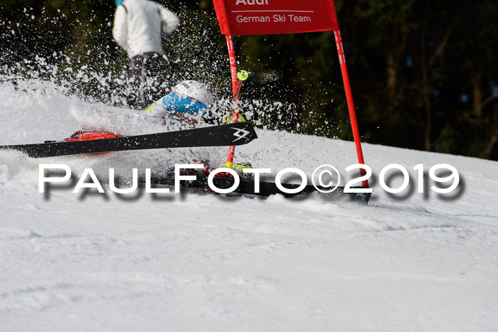 DSV Deutscher Schülercup U12 Finale 2019, Slalom Cross 03.03.2019