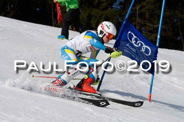 DSV Deutscher Schülercup U12 Finale 2019, Slalom Cross 03.03.2019