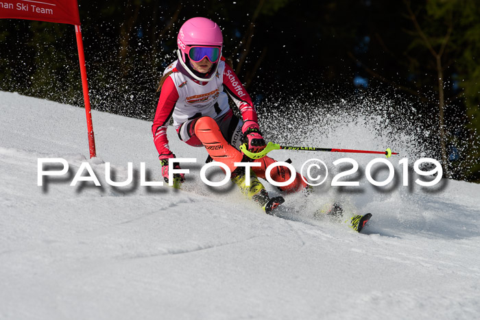DSV Deutscher Schülercup U12 Finale 2019, Slalom Cross 03.03.2019