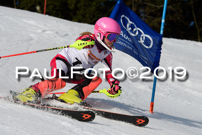 DSV Deutscher Schülercup U12 Finale 2019, Slalom Cross 03.03.2019