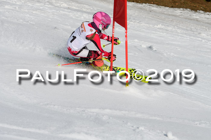 DSV Deutscher Schülercup U12 Finale 2019, Slalom Cross 03.03.2019