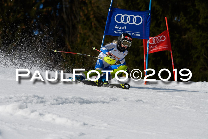 DSV Deutscher Schülercup U12 Finale 2019, Slalom Cross 03.03.2019