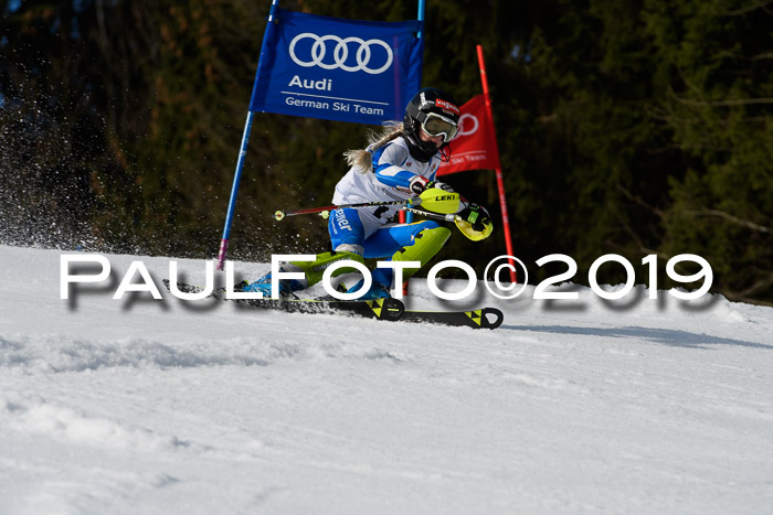 DSV Deutscher Schülercup U12 Finale 2019, Slalom Cross 03.03.2019