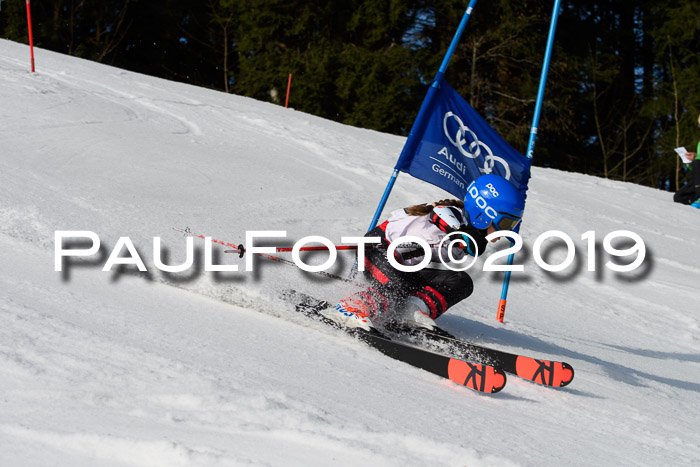 DSV Deutscher Schülercup U12 Finale 2019, Slalom Cross 03.03.2019