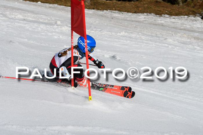 DSV Deutscher Schülercup U12 Finale 2019, Slalom Cross 03.03.2019