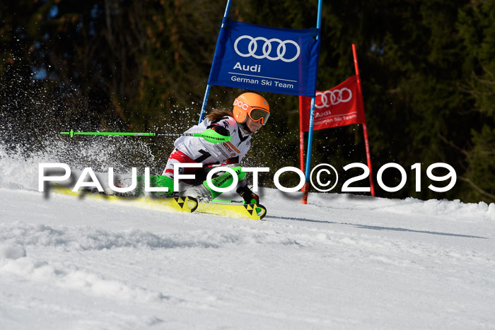 DSV Deutscher Schülercup U12 Finale 2019, Slalom Cross 03.03.2019