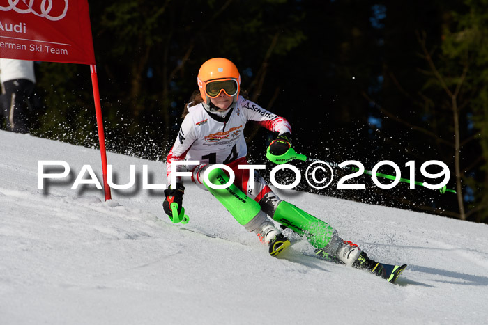 DSV Deutscher Schülercup U12 Finale 2019, Slalom Cross 03.03.2019