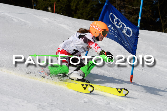 DSV Deutscher Schülercup U12 Finale 2019, Slalom Cross 03.03.2019