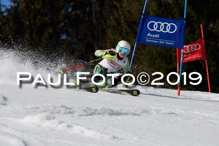 DSV Deutscher Schülercup U12 Finale 2019, Slalom Cross 03.03.2019