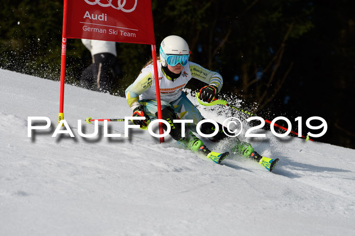 DSV Deutscher Schülercup U12 Finale 2019, Slalom Cross 03.03.2019