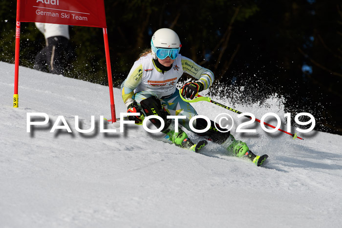 DSV Deutscher Schülercup U12 Finale 2019, Slalom Cross 03.03.2019