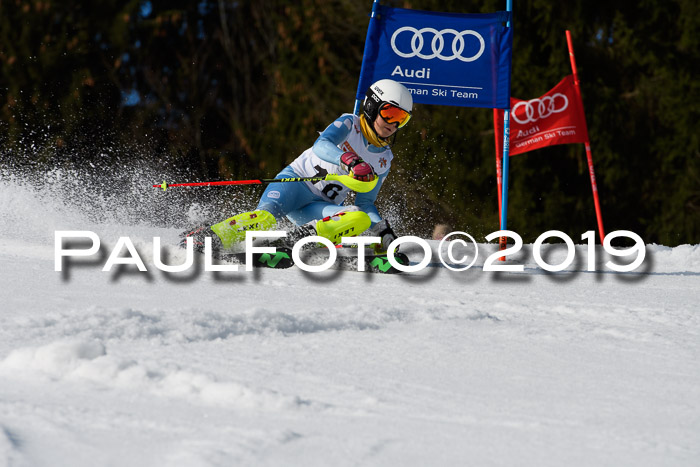 DSV Deutscher Schülercup U12 Finale 2019, Slalom Cross 03.03.2019