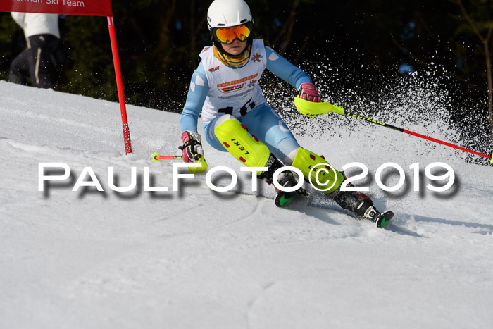 DSV Deutscher Schülercup U12 Finale 2019, Slalom Cross 03.03.2019
