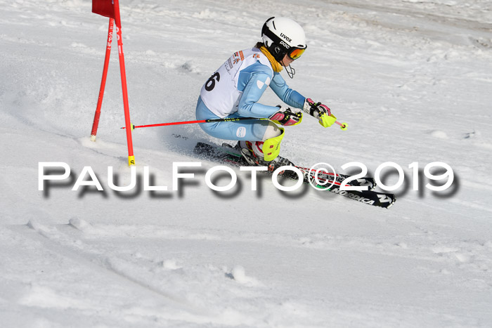 DSV Deutscher Schülercup U12 Finale 2019, Slalom Cross 03.03.2019