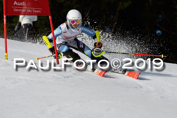 DSV Deutscher Schülercup U12 Finale 2019, Slalom Cross 03.03.2019