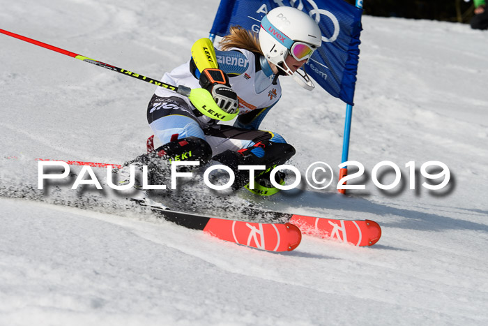 DSV Deutscher Schülercup U12 Finale 2019, Slalom Cross 03.03.2019