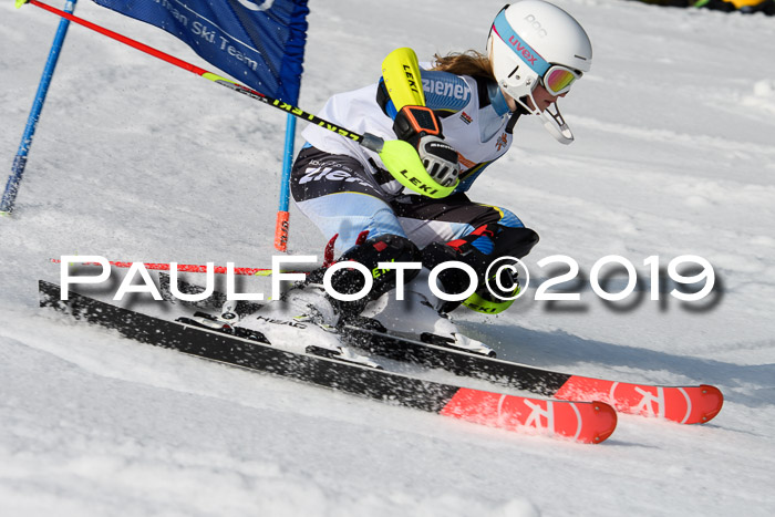 DSV Deutscher Schülercup U12 Finale 2019, Slalom Cross 03.03.2019