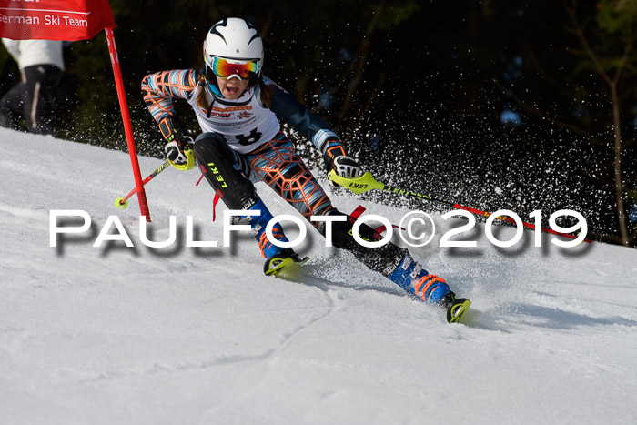 DSV Deutscher Schülercup U12 Finale 2019, Slalom Cross 03.03.2019