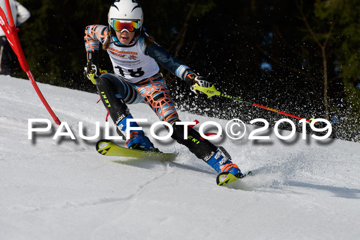 DSV Deutscher Schülercup U12 Finale 2019, Slalom Cross 03.03.2019