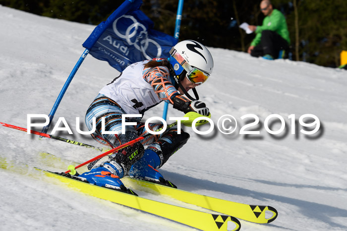 DSV Deutscher Schülercup U12 Finale 2019, Slalom Cross 03.03.2019