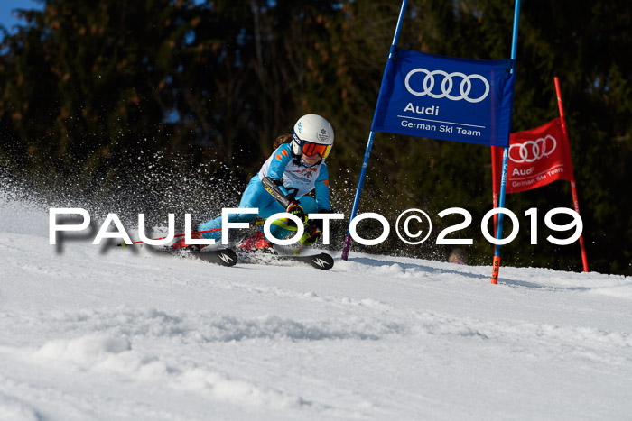 DSV Deutscher Schülercup U12 Finale 2019, Slalom Cross 03.03.2019