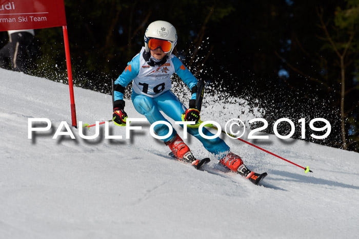 DSV Deutscher Schülercup U12 Finale 2019, Slalom Cross 03.03.2019