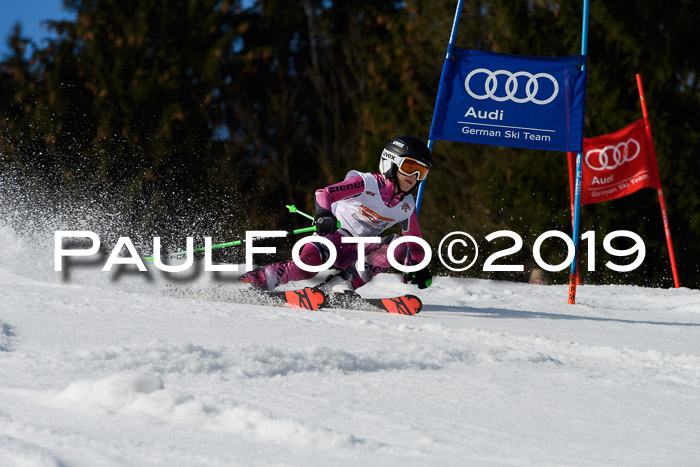 DSV Deutscher Schülercup U12 Finale 2019, Slalom Cross 03.03.2019