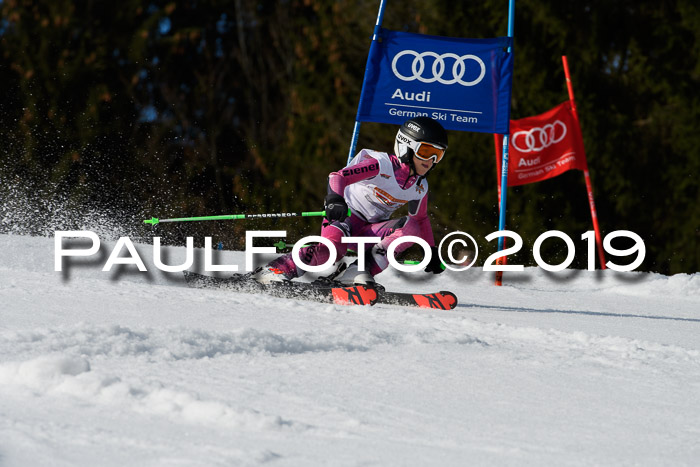 DSV Deutscher Schülercup U12 Finale 2019, Slalom Cross 03.03.2019