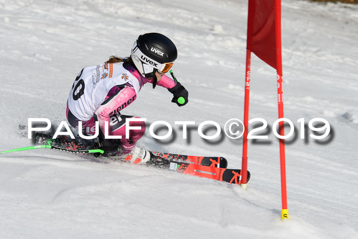 DSV Deutscher Schülercup U12 Finale 2019, Slalom Cross 03.03.2019