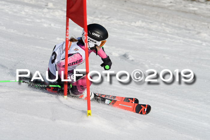 DSV Deutscher Schülercup U12 Finale 2019, Slalom Cross 03.03.2019