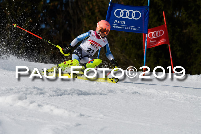 DSV Deutscher Schülercup U12 Finale 2019, Slalom Cross 03.03.2019