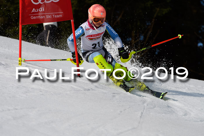 DSV Deutscher Schülercup U12 Finale 2019, Slalom Cross 03.03.2019