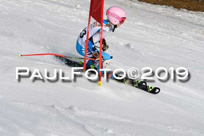 DSV Deutscher Schülercup U12 Finale 2019, Slalom Cross 03.03.2019