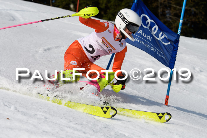 DSV Deutscher Schülercup U12 Finale 2019, Slalom Cross 03.03.2019