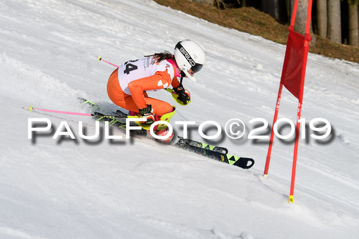 DSV Deutscher Schülercup U12 Finale 2019, Slalom Cross 03.03.2019