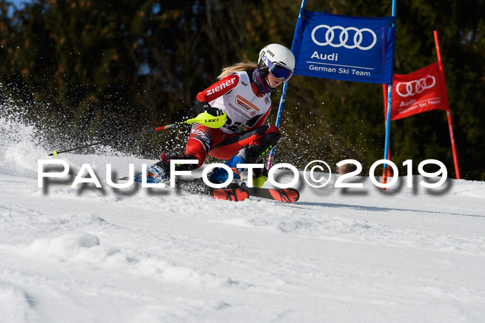 DSV Deutscher Schülercup U12 Finale 2019, Slalom Cross 03.03.2019