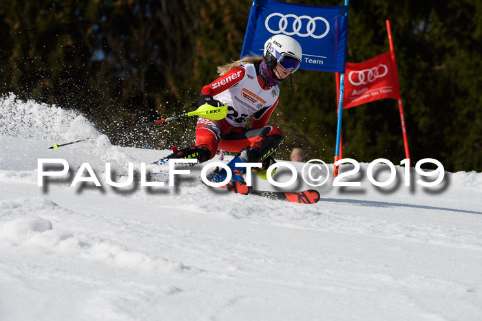 DSV Deutscher Schülercup U12 Finale 2019, Slalom Cross 03.03.2019