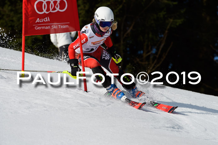 DSV Deutscher Schülercup U12 Finale 2019, Slalom Cross 03.03.2019