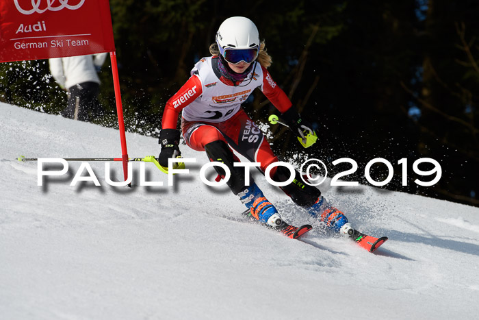 DSV Deutscher Schülercup U12 Finale 2019, Slalom Cross 03.03.2019