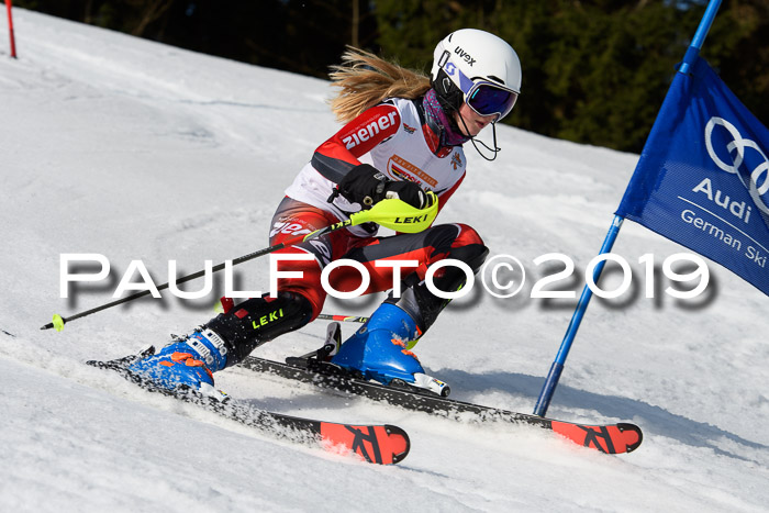 DSV Deutscher Schülercup U12 Finale 2019, Slalom Cross 03.03.2019