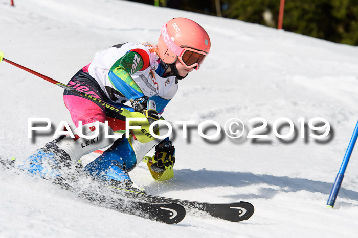 DSV Deutscher Schülercup U12 Finale 2019, Slalom Cross 03.03.2019